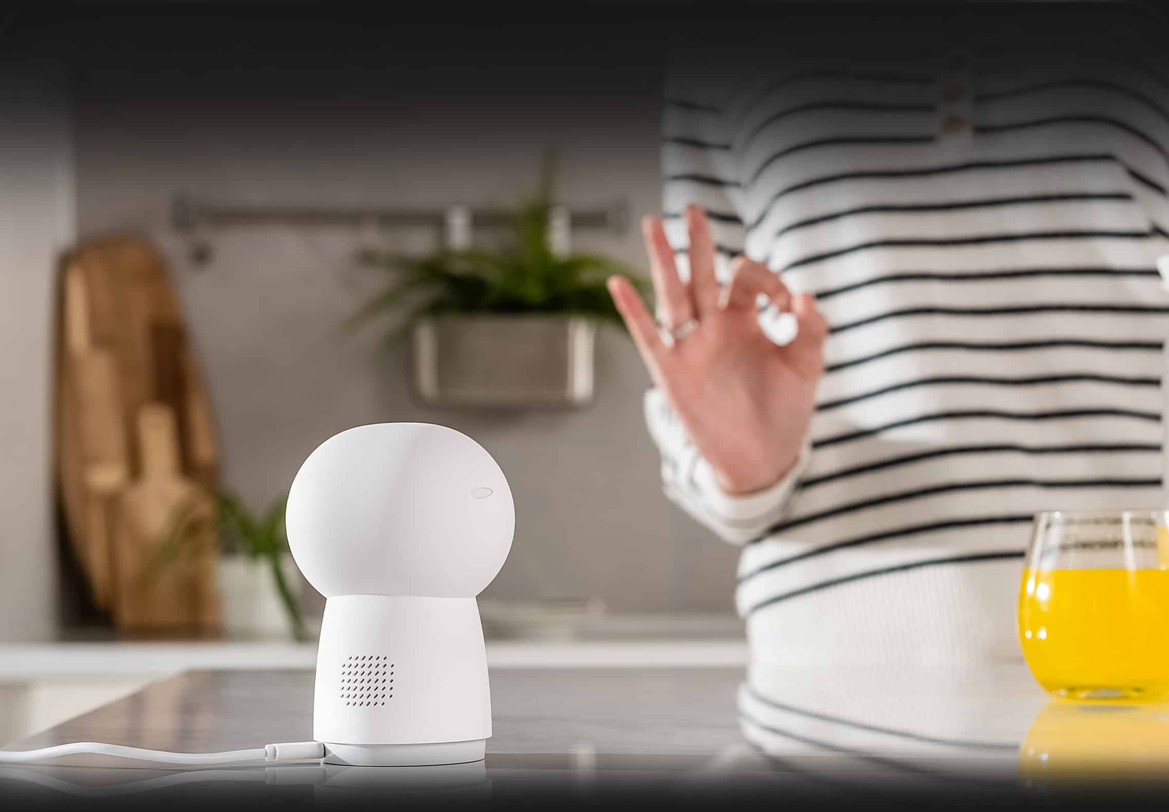 Camera Hub G3 Smart Gesture Recognition