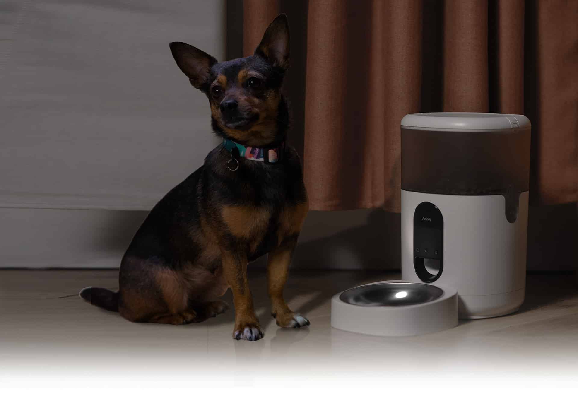 https://www.aqara.com/wp-content/uploads/2023/05/Aqara-Pet-feeder-bg1.jpg