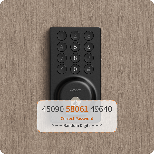 Anti-Peep Password Protection