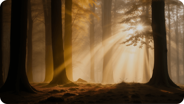 Full Spectrum Lighting