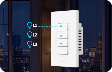 Presence Switch H2 US