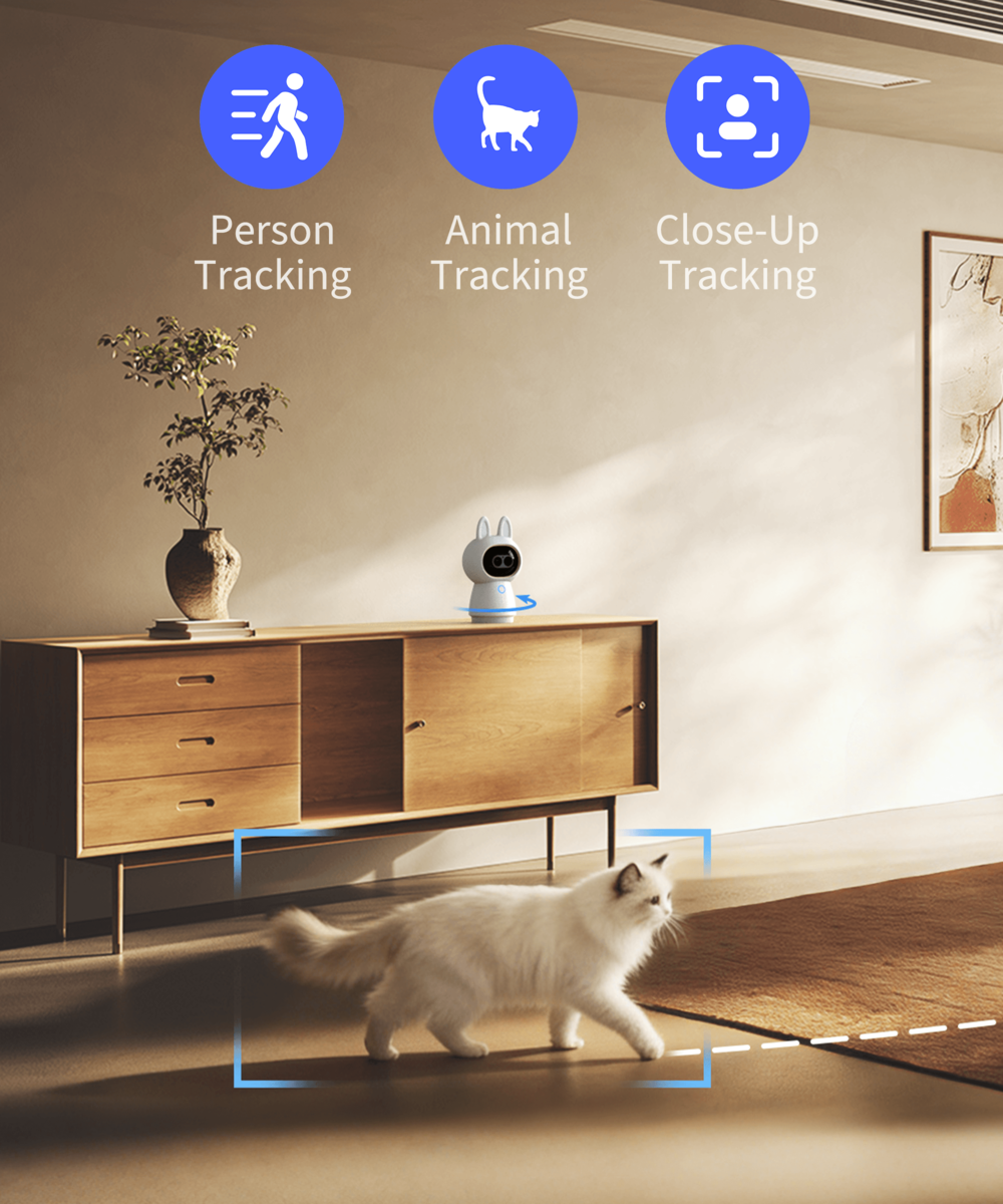 Follows People, Pet, and the Details